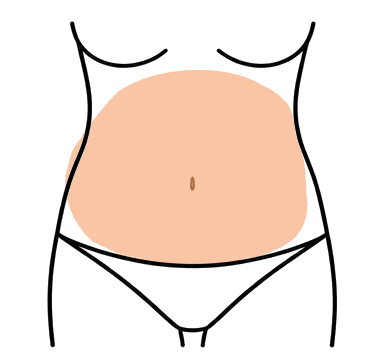 Abdomen