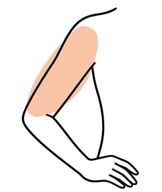 Arms
