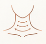 Neck